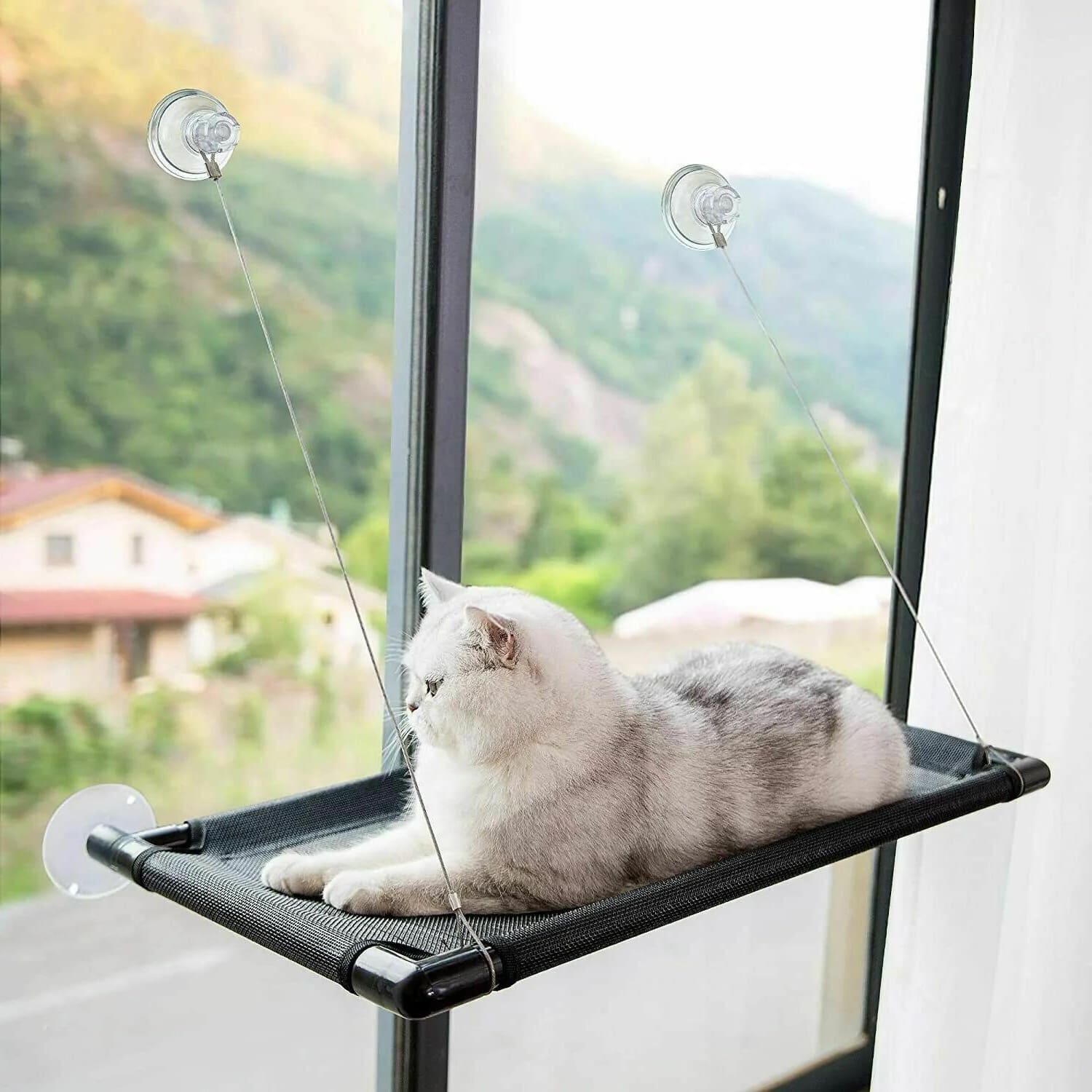 hamakforcats-2